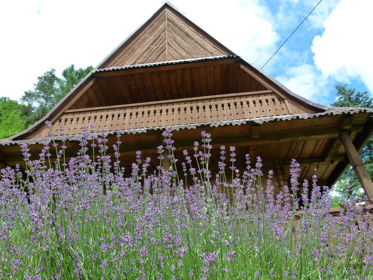 Drewniany Domek Bb Nad Rzeka Powroznik ภายนอก รูปภาพ